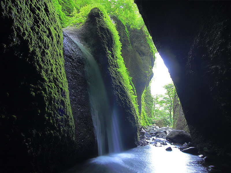 SDGs program to learn about the regeneration of Ueyama Highland (with waterfall trekking)