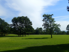 Field in front of Museum for Wood Culture