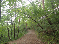 Uwano trail